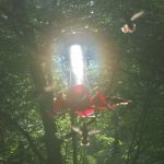 Hummingbirds swarming illuminated feeder in hazy high summer