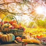 Autumn leaves with sun shining on basket of fruit pumpkins and corn