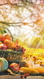 Autumn leaves with sun shining on basket of fruit pumpkins and corn