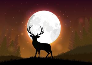 Deer silhouette on hillside under Full Moon