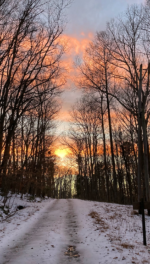 Personal photo by husband John Rottet of snowy sunset at Laurel Hill Cottage 2022