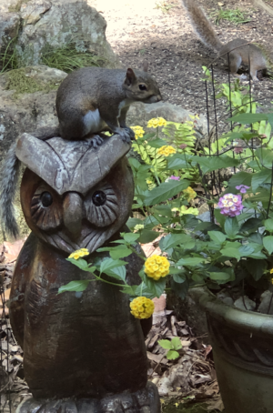 Squirrel and owl carving with flowers