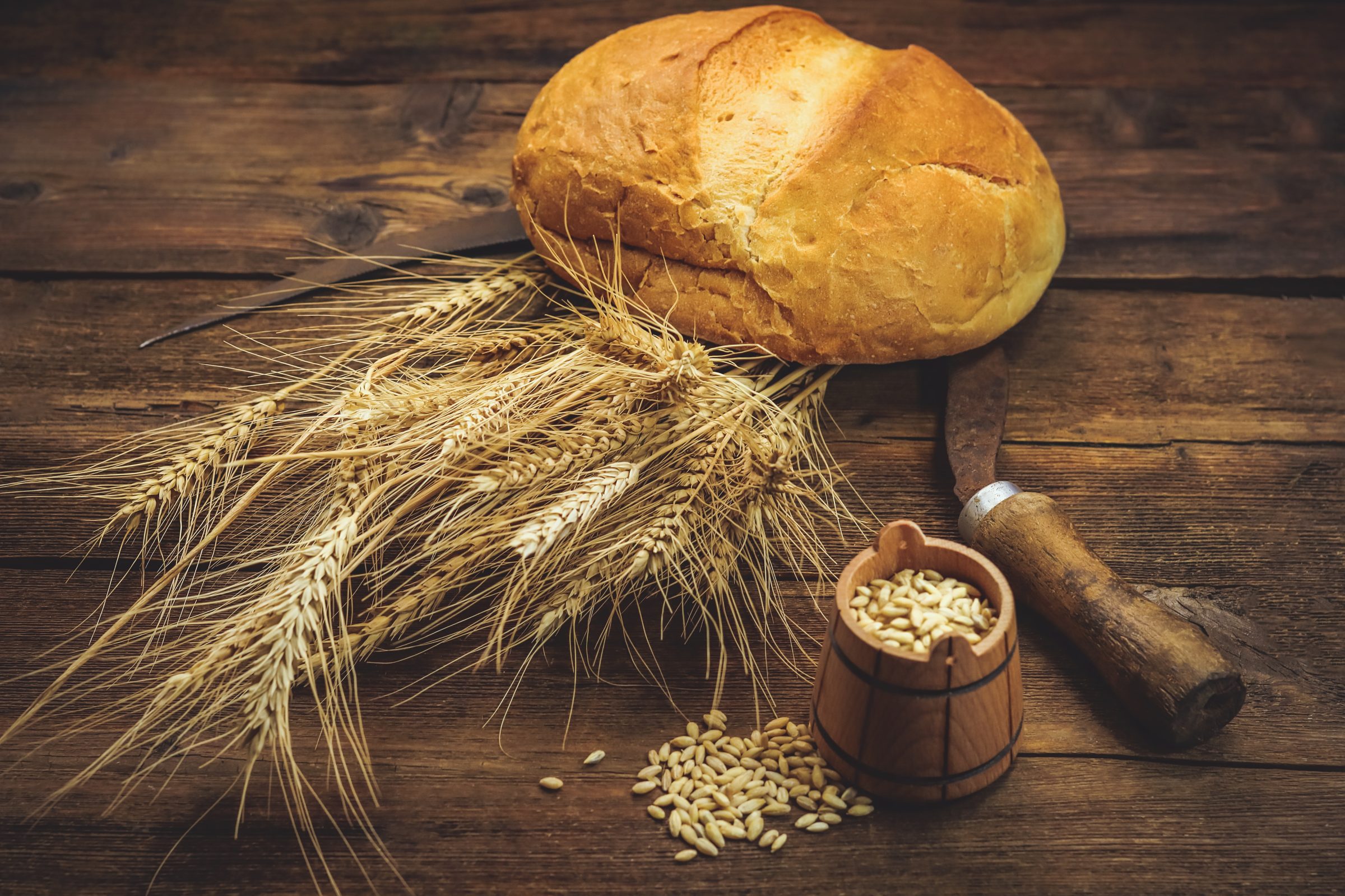 Wheat grain scythe seeds and bread on wooden table