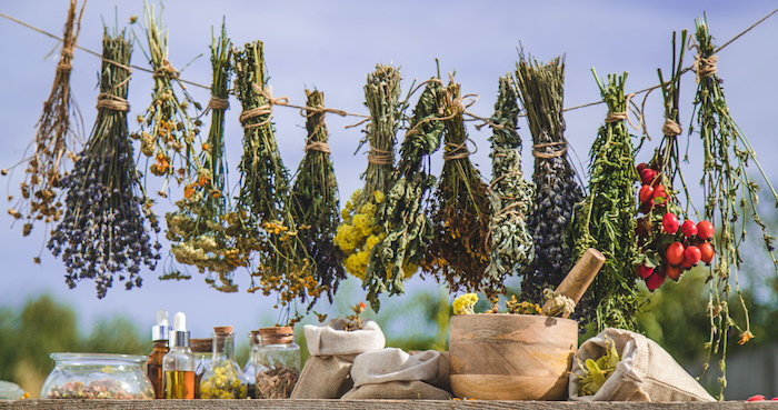 Dried herbs hanging and prepared