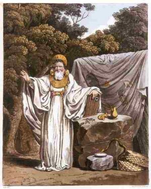 Archdruid in his Judicial habit