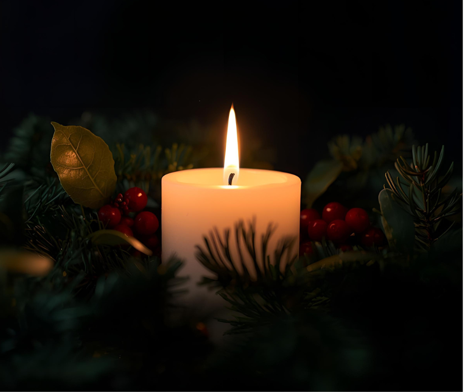 single candle lit amongst evergreens