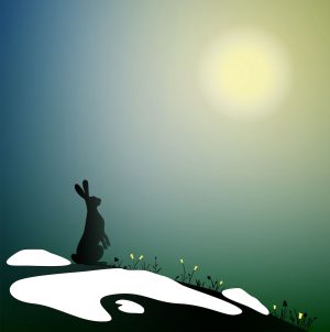 spring rabbit landscape, hare on the top of snowy hill