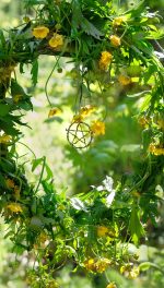 wreath and greenery for Beltane